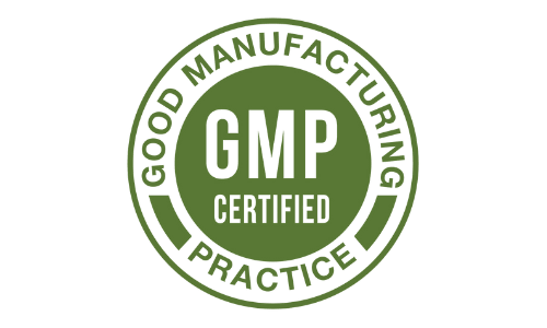 CogniSurge GMP